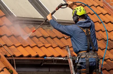 Démoussage et hydrofuge de toiture à Sauvagnac